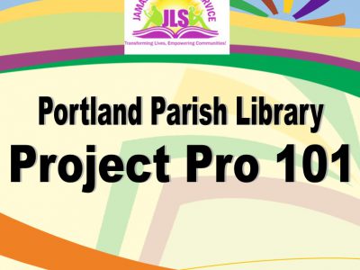 Project Pro 101